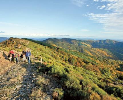 Randonnée avec ânes © Alain Lagrave / Parc national des Cévennes Randonnée avec ânes © Alain Lagrave / Parc national des Cévennes