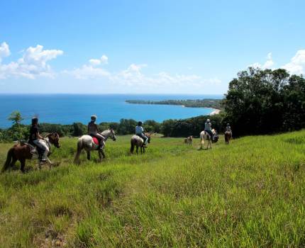 Randonnée équestre avec le ranch des 2 îlets © Didier-Laurent Aubert / DAAF Guadeloupe Randonnée équestre avec le ranch des 2 îlets © Didier-Laurent Aubert / DAAF Guadeloupe