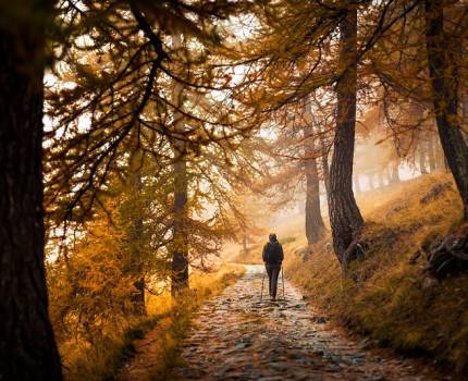 Randonnée d'automne en Roya © Julien Chaudet - Parc national du Mercantour Randonnée d'automne en Roya © Julien Chaudet - Parc national du Mercantour