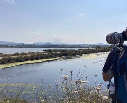 Sortie de découverte des oiseaux sur les vieux salins d’Hyères © Loane Grasset - Parc national de Port-Cros Sortie de découverte des oiseaux sur les vieux salins d’Hyères © Loane Grasset - Parc national de Port-Cros