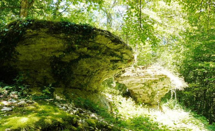 La Table des loups Brion-sur-Ource © Matthieu Delcamp / Parc national de forêts 