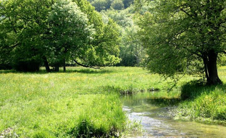 Vallée du Brevon © Francois Poillotte / Parc national de forêts