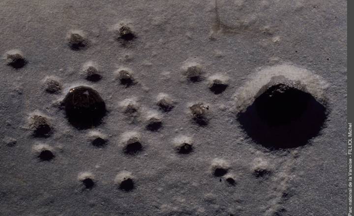 Gravures rupestres © Michel Filliol / Parc national de la Vanoise