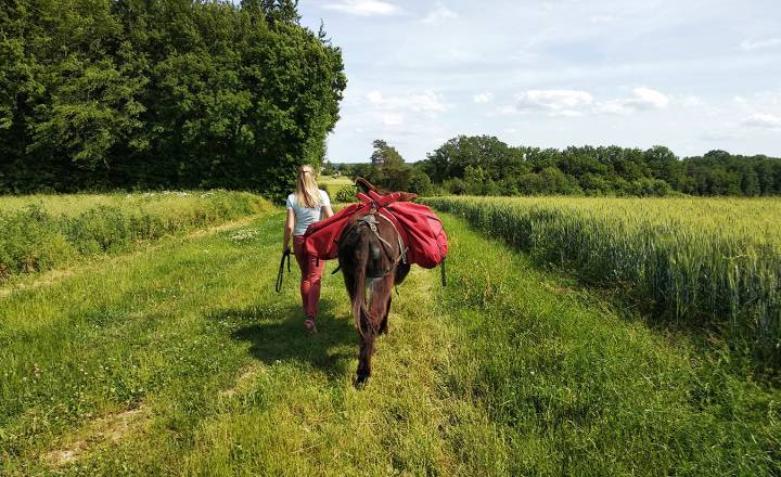 Le petit bonheur 21 - randonnée avec ânes © Esther Vuillermet