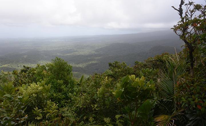 Vue panoramique, randonnée autour des Mamelles © DR PNG