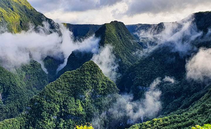 Vallée de Takamaka © Yannick Riet / Parc national de La Réunion