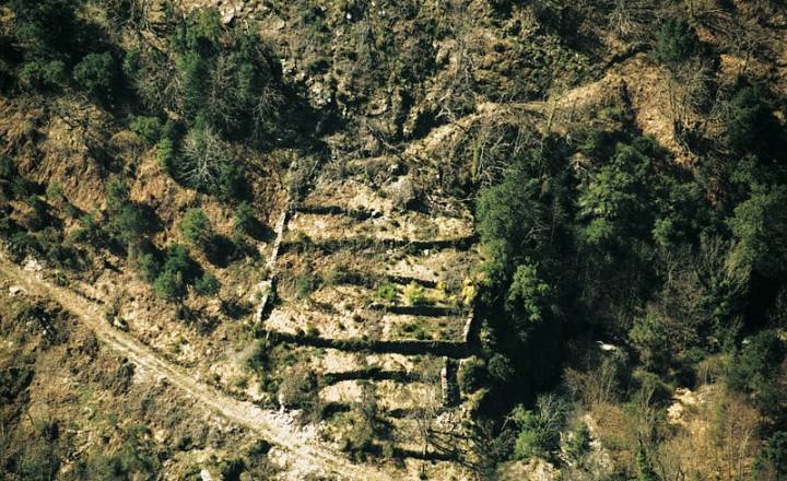 Champernal