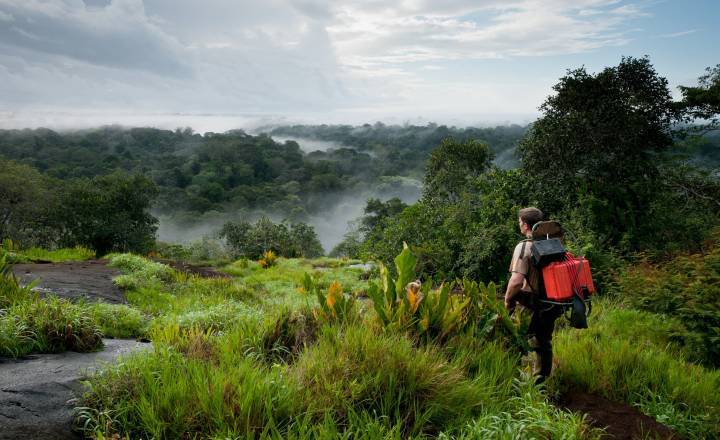 Inselberg Memora © Guillaume Feuillet / Parc amazonien de Guyane