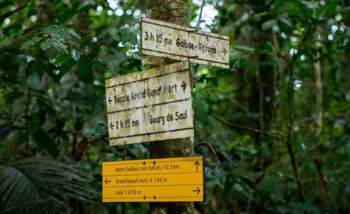 Embranchement vers les Monts Galbao © Guillaume Feuillet / Parc amazonien de Guyane