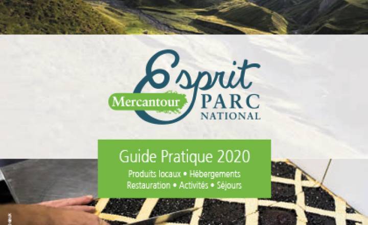 Guide pratique 2020