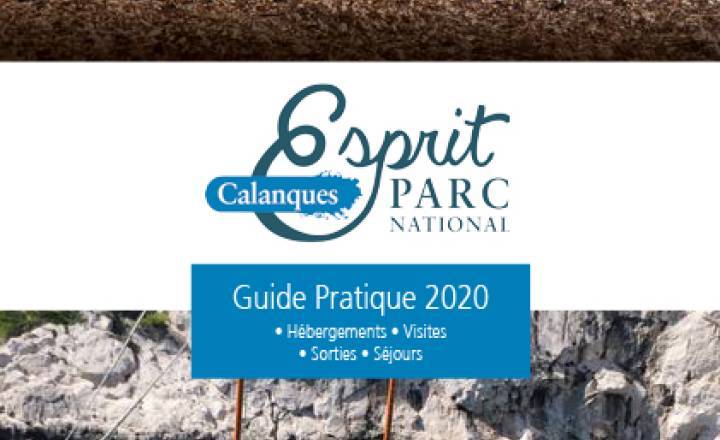 Guide pratique 2020