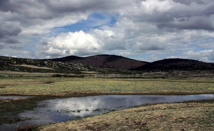 Plaine du Tarn
