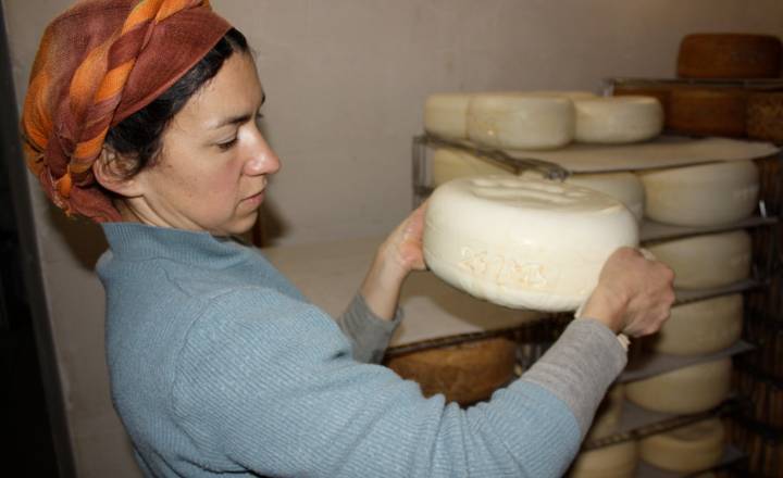 Fabrication de fromage © J. Demoulin / Parc national des Pyrénées