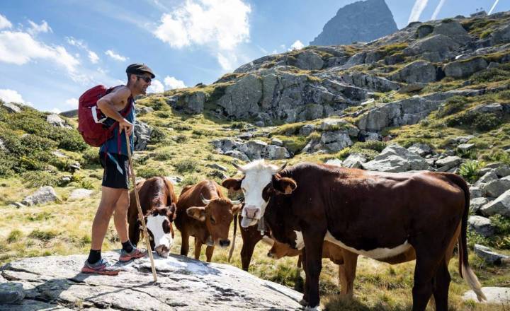 Ferme Cazaux © AE Médias-Pierre Meyer - Parc national des Pyrénées