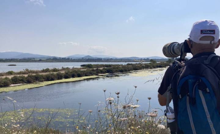 Sortie de découverte des oiseaux sur les vieux salins d’Hyères © Loane Grasset - Parc national de Port-Cros