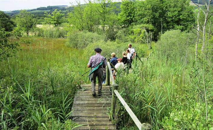 Marais du Cônoiss© Claude Piard