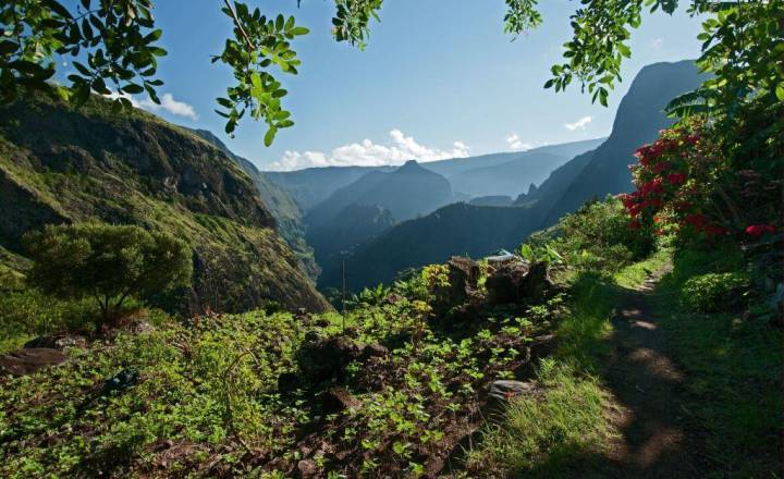 Cirque de Mafate, culture de petits pois © DR Parc national de La Réunion