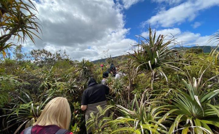 Sortie de découverte de la Pandanaie © DR Parc national de La Réunion