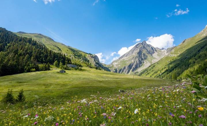Vallon de l'Orgère © Chloé Tardivet - Parc national de la Vanoise