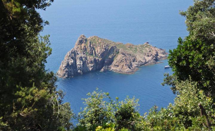 Vue sur l'îlot de la Gabinière © Muriel Gasquy - Parc national de Port-Cros