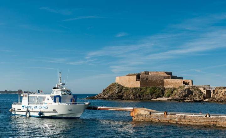 La Mouette Espace Mer © Pascal Belhomme