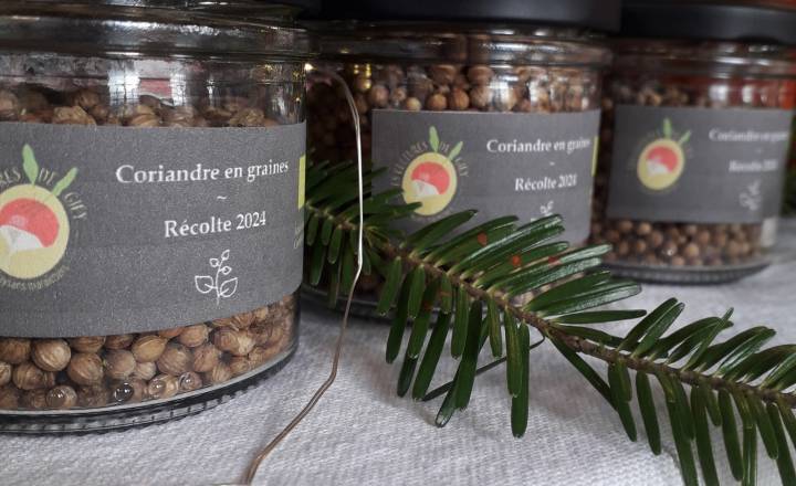 Les cultures de Giey, plantes aromatiques © Maxime Ragué et Tiffany Raynaud