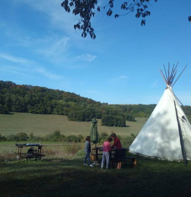 tipi