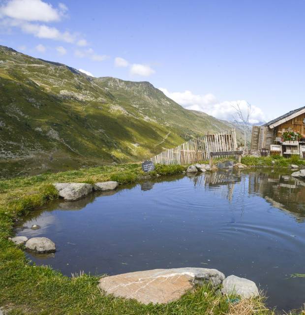 Chalet d'alpage-restaurant chez Pépé Nicolas