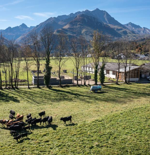 Ferme Bretou - AE Médias - P. MEYER - Parc national des Pyrénées