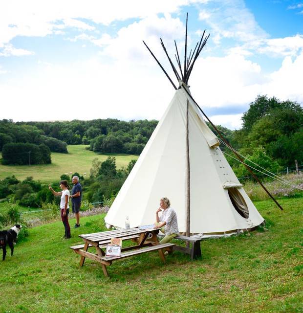 Herberie de la Tillle, tipi © Céline Lecomte - OFB