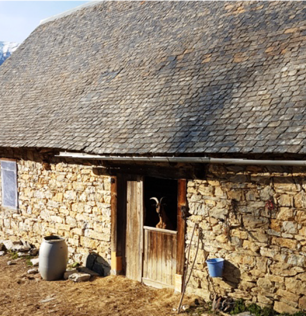 Ferme Changement d'Ere, vente à la ferme © Franck Burillo