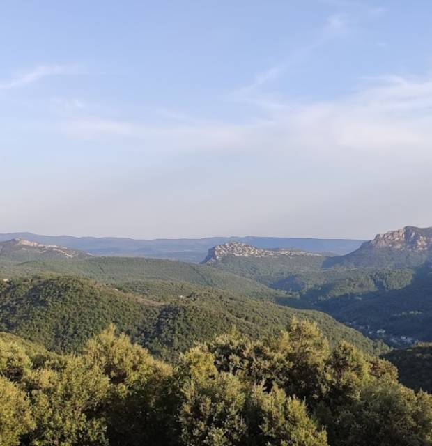 Rouveyrac 2 -Semelles-au-Vent-3.jpg