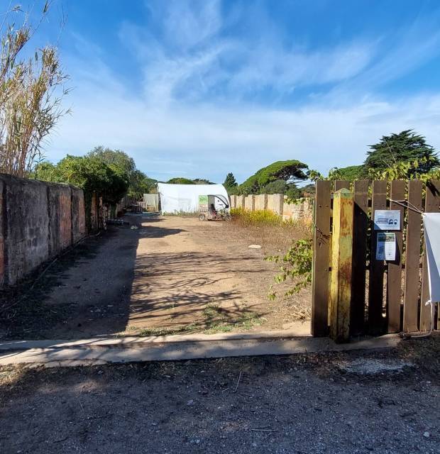 ©Jardins de Porquerolles